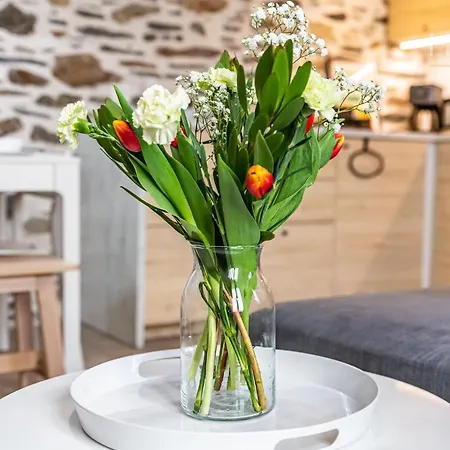 Charmante Maisonnette Au Coeur Des Sables D'olonne レ・サ​​ーブル・ドロンヌ