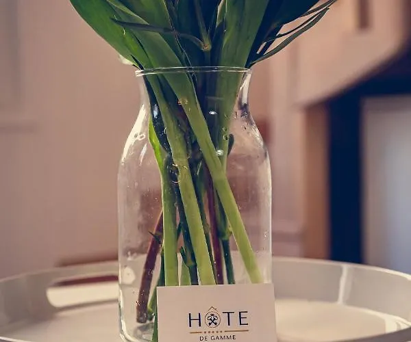 Charmante Maisonnette Au Coeur Des Sables D'olonne